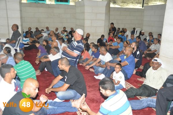 bazsalah lud 712 (9).JPG